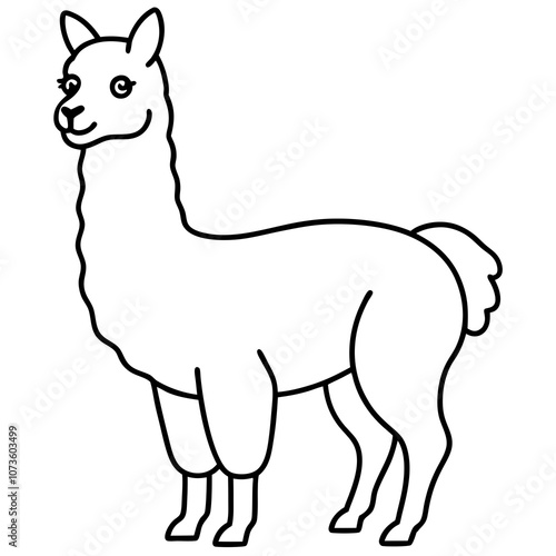 Alpaca Line Art Illustration.