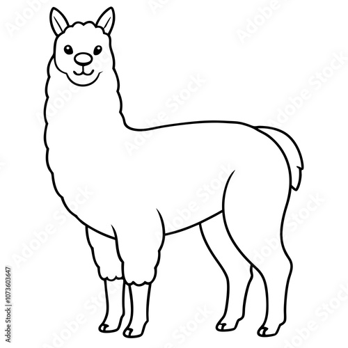 Alpaca Line Art Illustration.