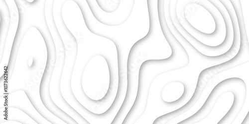 Abstract luxury white modern 3d papercut background. Minimal abstract vector wave carve diamond topography line circle creative topography map circle and wave line smooth multilayer pattern. papercut.