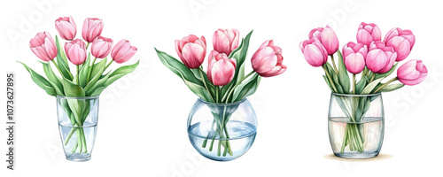 Watercolor set of bouquets of pink tulips in a glass vase png. Spring bouquet of pink tulips in a glass transparent vase with water watercolor. Spring elements png. Vector illustration.