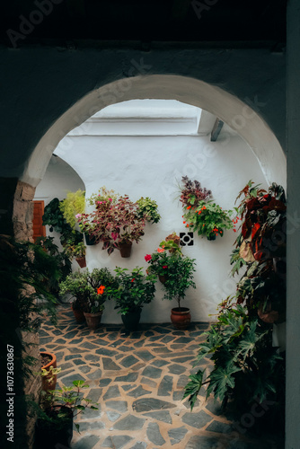 Végétations dans une cour intérieure