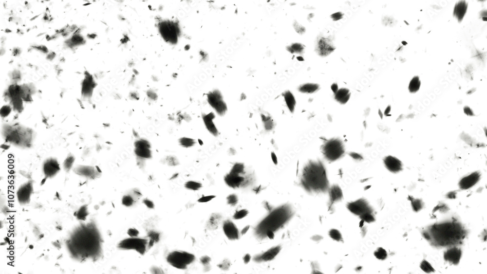 Fototapeta premium Abstract aromatherapy black smoke isolated white background. Steam Mist Fog and Dust Particles. Modern Dark and Dramatic Storm with gray smoky clouds.
