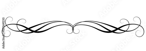 Wave ornament with leaves and abstract lines. Text divider. Decorative element for decor and text greeting or invitation card design.