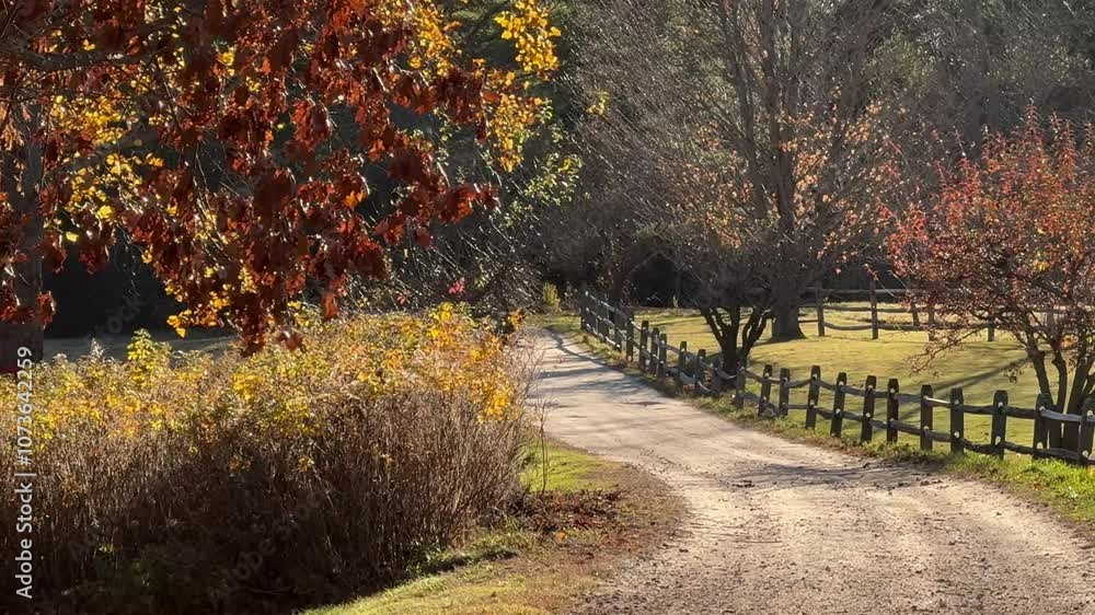 Autumn Trees & Dirt Road Sweep Across Autumn Trees & Dirt Road Sweep Across