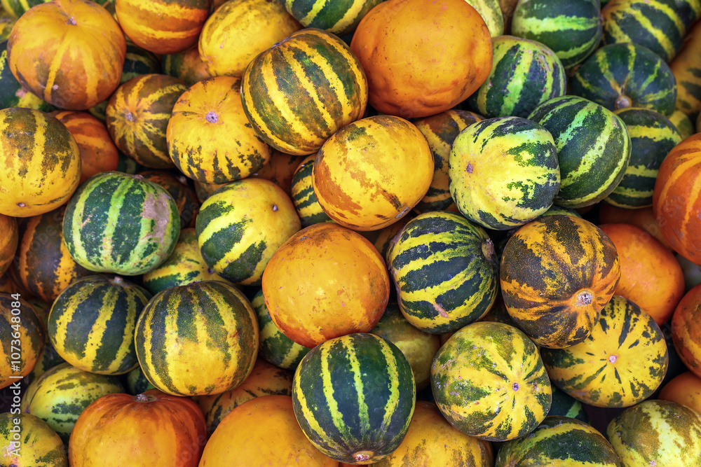 Background of pumpkins. Many pumpkins in the market Background of pumpkins. Many pumpkins in the market