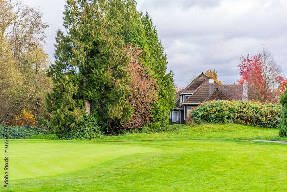 Obraz premium Outdoor landscape with green lawn, red and yellow trees and nice Fall foliage in Vancouver, Canada, North America. Overcast. Day time on November 2024.