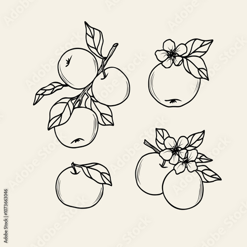Line art apple fruit branches set