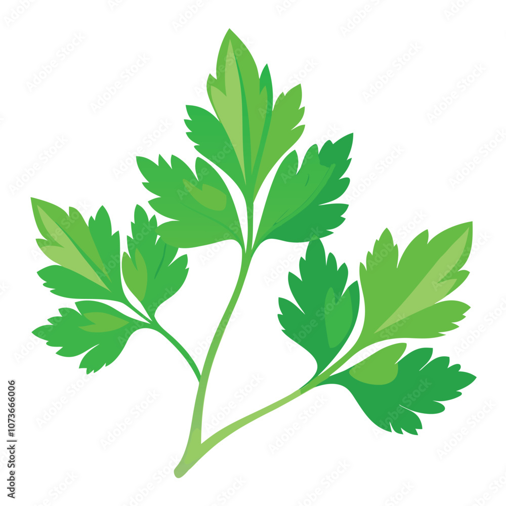 Naklejka premium parsley vector illustration in watercolor style
