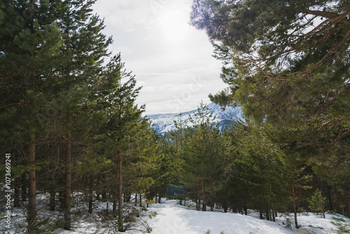 El puerto de Cotosa​ o puerto del Paular es un paso de montaña de la sierra de Guadarrama, que separa las provincias españolas de Segovia y Madrid.