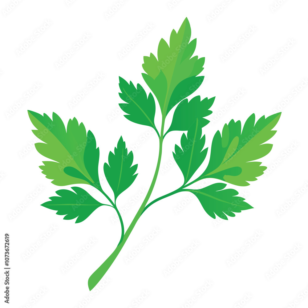 Naklejka premium parsley vector illustration in watercolor style