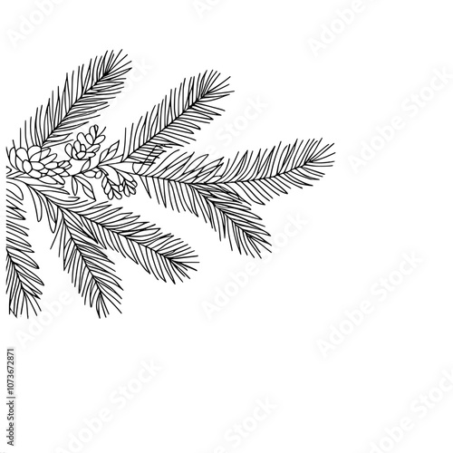 Simple pine tree branch with needles and cones in black line art style