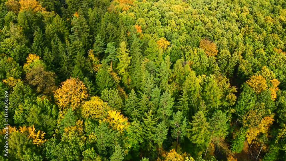 Autumn forest drone flight over mountain hill Autumn forest drone flight over mountain hill