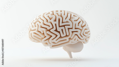 Intricate Maze Brain Model Representing Cognitive Complexity