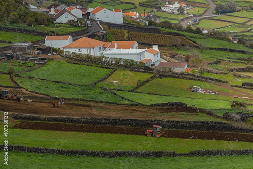 Agriculture fields at Azores islands tracror working on the field aerial view Portugal