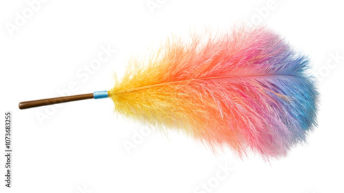 Soft feather duster with multicolored tips on a transparent background photo