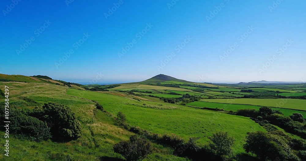 Fototapeta premium Panoramic Irish Countryside with Lush Green Fields