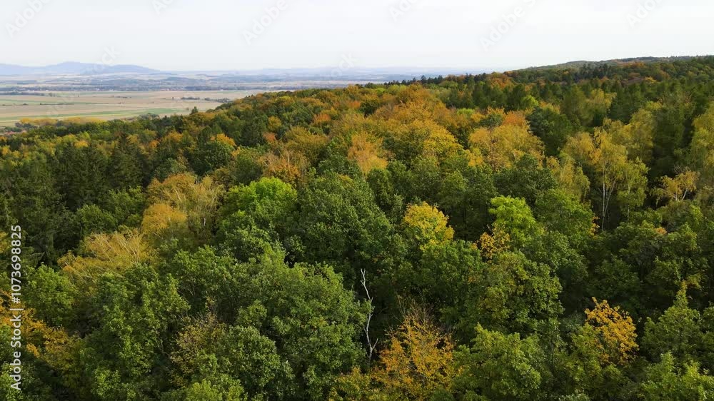 Autumn forest drone flight over mountain hill Autumn forest drone flight over mountain hill
