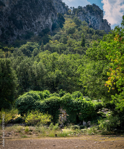 Ruins of the ancient city of Termessos in Turkey. Still unexplored by archaeologists.