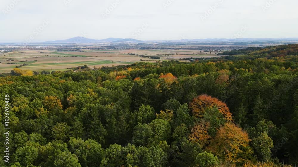 Autumn forest drone flight over mountain hill Autumn forest drone flight over mountain hill
