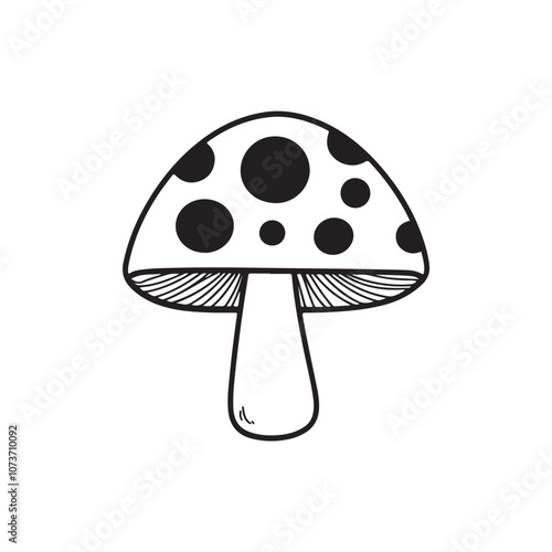 fly mushrooms