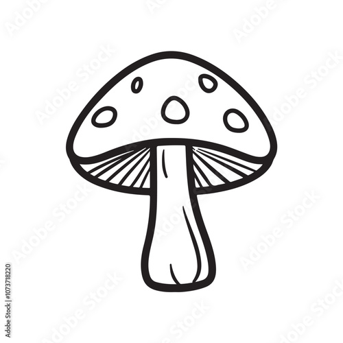 mushroom on a white background