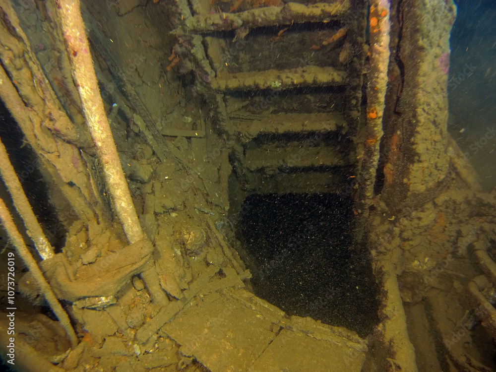 custom made wallpaper toronto digitalSport diving is a group of underwater sports disciplines. This is a fairly young direction of underwater sports, but sport diving disciplines are officially recognized in the world