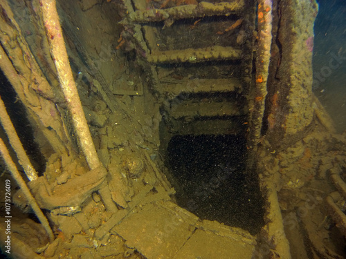 Wallpaper Mural Sport diving is a group of underwater sports disciplines. This is a fairly young direction of underwater sports, but sport diving disciplines are officially recognized in the world Torontodigital.ca