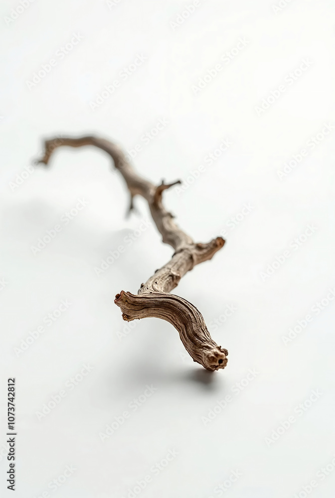 Obraz premium Close-Up of Frost-Covered Wood Branches