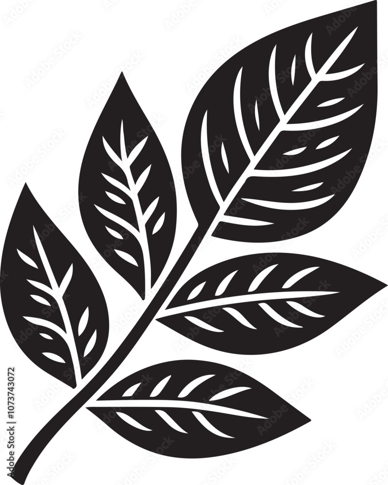Obraz premium Leaf Vector