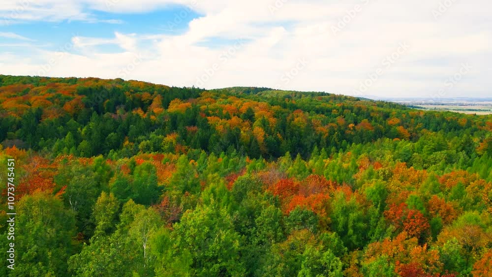 Blue Ridge Mountains, Georgia Drone flyover of mountain forest of trees changing colors in Chattahoochee-Oconee National Forest. Blue Ridge Mountains, Georgia Drone flyover of mountain forest of trees changing colors in Chattahoochee-Oconee National Forest.