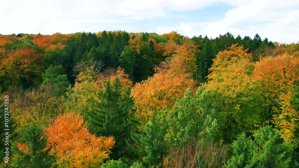 Blue Ridge Mountains, Georgia Drone flyover of mountain forest of trees changing colors in Chattahoochee-Oconee National Forest. Blue Ridge Mountains, Georgia Drone flyover of mountain forest of trees changing colors in Chattahoochee-Oconee National Forest.