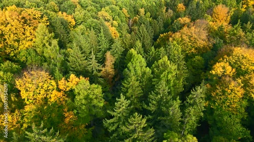 Blue Ridge Mountains, Georgia Drone flyover of mountain forest of trees changing colors in Chattahoochee-Oconee National Forest. photo