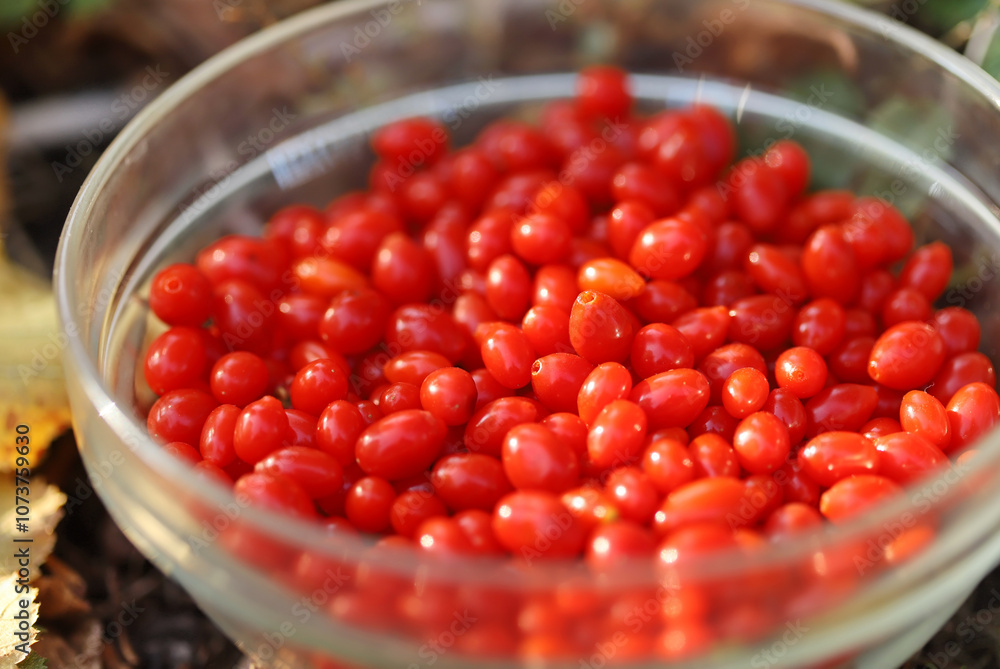 Red goji berries in a glass bowl Red goji berries in a glass bowl