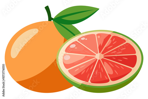 Colorful Grapefruit Line Drawing Vector with Juicy Slice