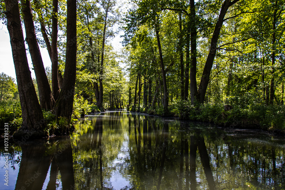 The Spreewald from its most beautiful side The Spreewald from its most beautiful side