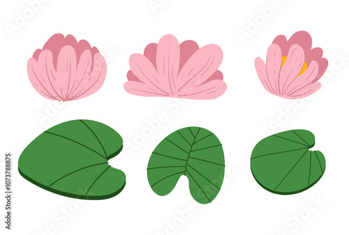 Plant lotus grass swamp water lake design element set. Vector graphic design illustration