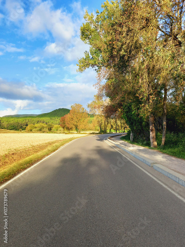 Lonely asphalt road in rural area with hills, crop fields and trees. Bank forest. Parks and gardens. Nature trails and walks.