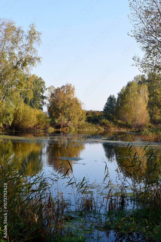 Autumn landscape of a blue lake and yellowing trees. Yellow-green trees by the river in the morning. Autumn landscape of a blue lake and yellowing trees. Yellow-green trees by the river in the morning.