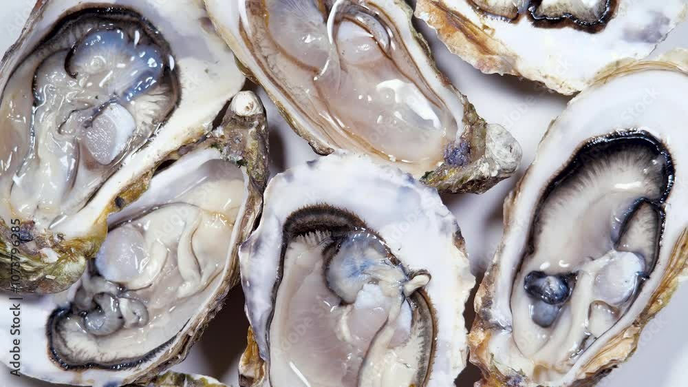 Open L'authentique Oysters Rotating Background. Fresh Oysters Close-up Top View. Healthy Sea Food. Gourmet Food, Delicatessen, Macro Shot Open L'authentique Oysters Rotating Background. Fresh Oysters Close-up Top View. Healthy Sea Food. Gourmet Food, Delicatessen, Macro Shot