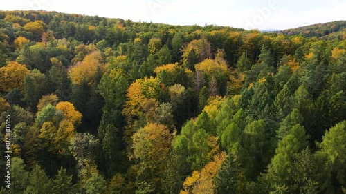 Blue Ridge Mountains, Georgia Drone flyover of mountain forest of trees changing colors in Chattahoochee-Oconee National Forest. photo