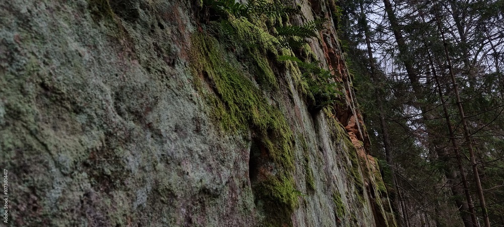 Licu-Langu cliffs, Latvian city of Liepa, late autumn Licu-Langu cliffs, Latvian city of Liepa, late autumn