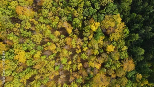 Blue Ridge Mountains, Georgia Drone flyover of mountain forest of trees changing colors in Chattahoochee-Oconee National Forest. photo