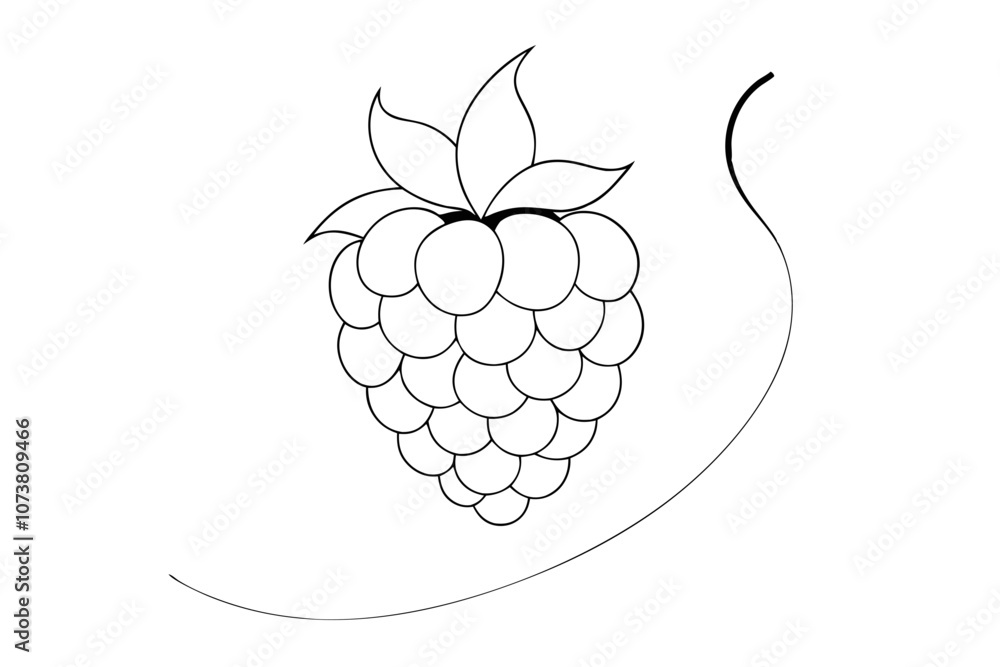 Minimalist Line Drawing of Blackberry Elegant Vector Illustration Minimalist Line Drawing of Blackberry Elegant Vector Illustration