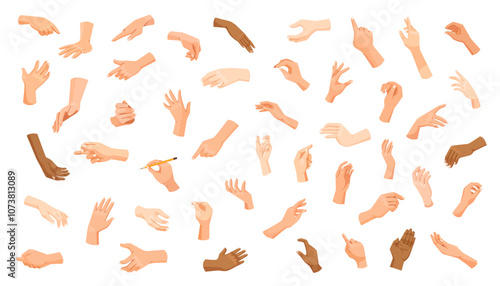 Multiple hands showing gestures and positions on a white background. Vector illustration