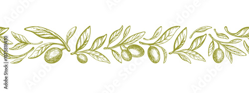 Horizontal olive branch, green fruit, oil. Pattern