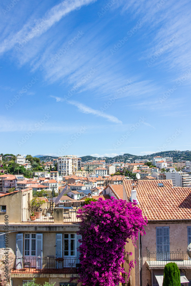 Panoramic View of Cannes with Ferris Wheel and Promenade Panoramic View of Cannes with Ferris Wheel and Promenade