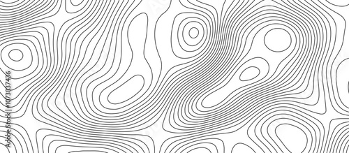 Abstract white wave paper curved reliefs background design. The black on white contours topography stylized relief diagram line wave carve pattern background.