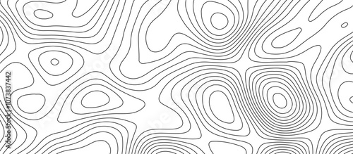 Abstract white wave paper curved reliefs background design. The black on white contours topography stylized relief diagram line wave carve pattern background.