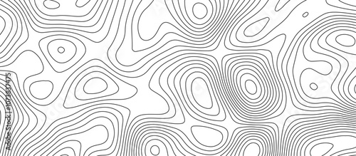 Abstract white wave paper curved reliefs background design. The black on white contours topography stylized relief diagram line wave carve pattern background.