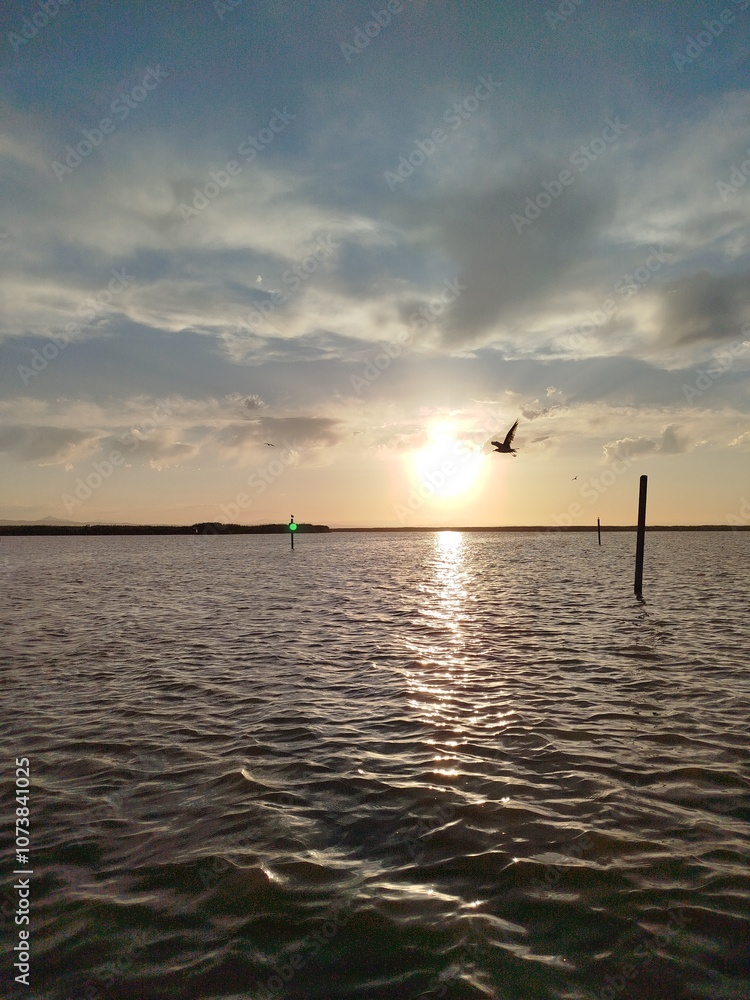Atardecer en la Albufera Atardecer en la Albufera